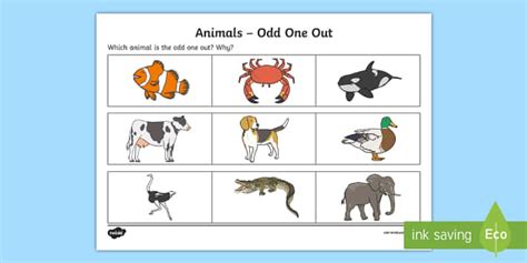 odd one out tortoise crab frog fish|Animal Parts Odd One Out .